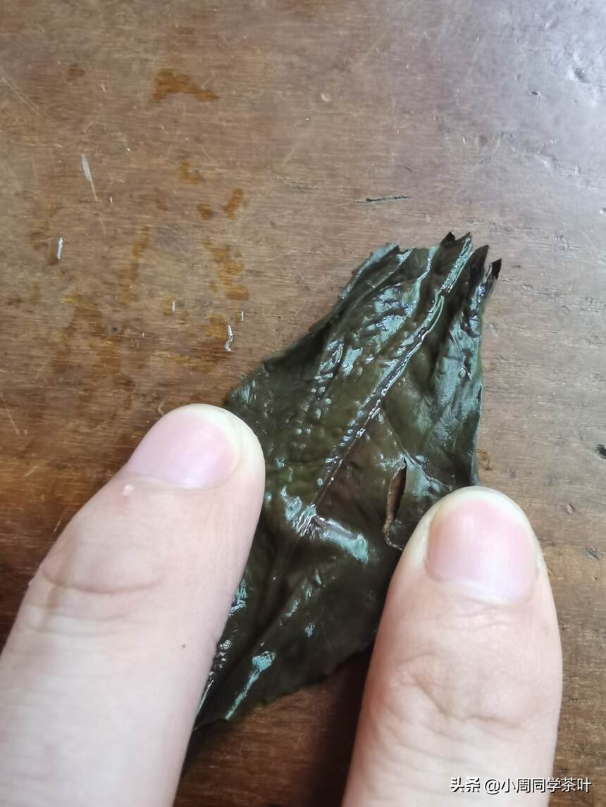 武夷岩茶的蛤蟆背跟茶叶的品质有关系么？
