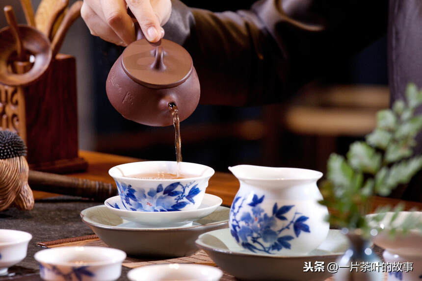 林清玄：喝一杯随心所欲的茶