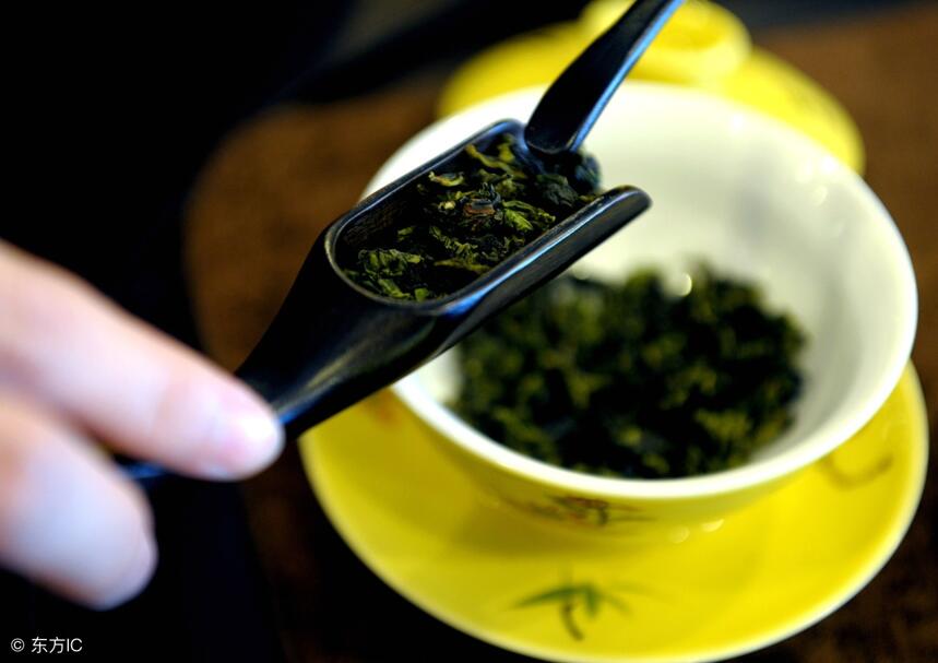 所谓“早秋茶”铁观音，究竟是“秋茶”还是“暑茶”？