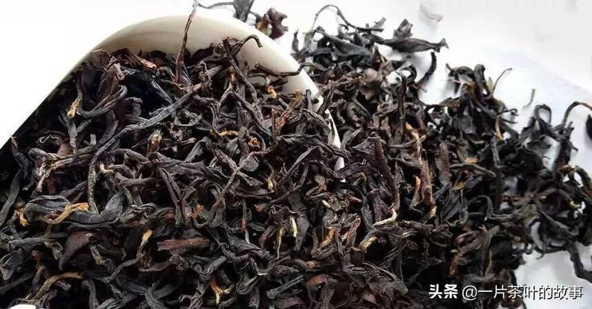 台湾省不只有冻顶乌龙，看台湾茶叶分布