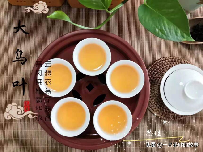 你喝凤凰单丛时，有领悟到单丛茶的品格特性吗？
