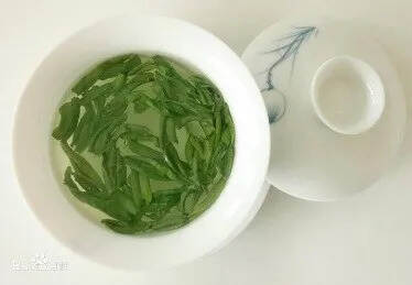 茶科普 | 绿茶香气界的名流-栗香