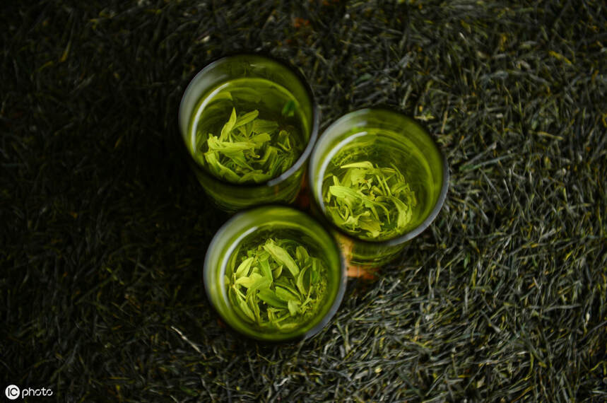 绿茶和青茶有什么区别？听内行人一说，总算明白了