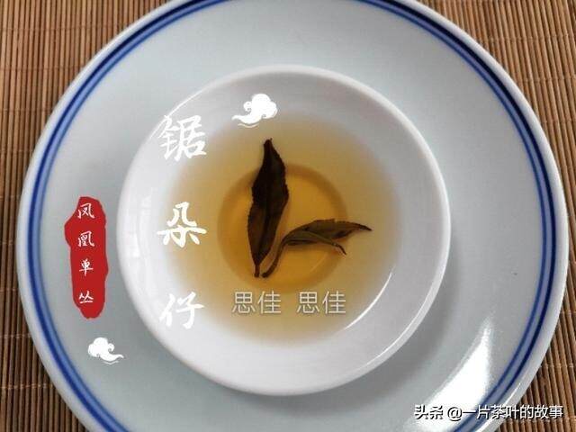 认识凤凰单丛茶，你喝的是哪个级别？
