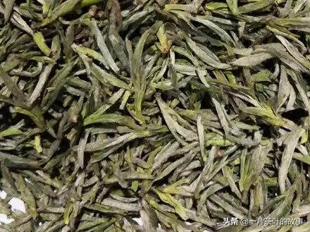 中国茶叶80个易错常识，称茶叶日常百科全书
