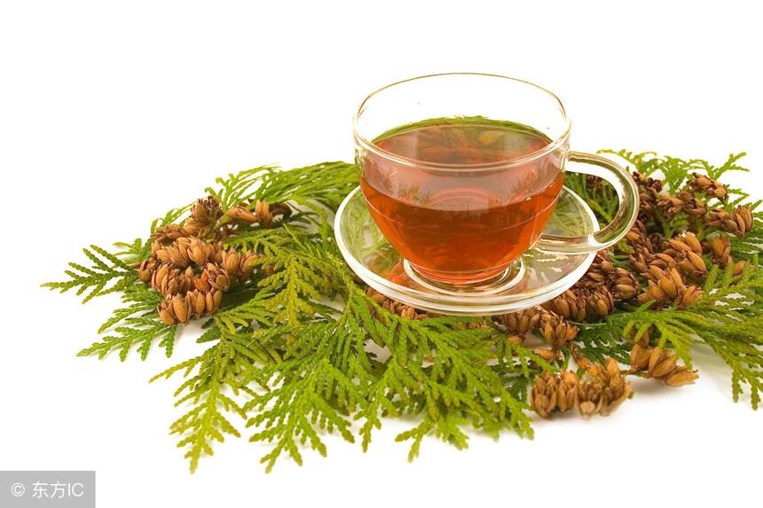 喝茶对肾到底有没有好处？喝什么茶能补肾？