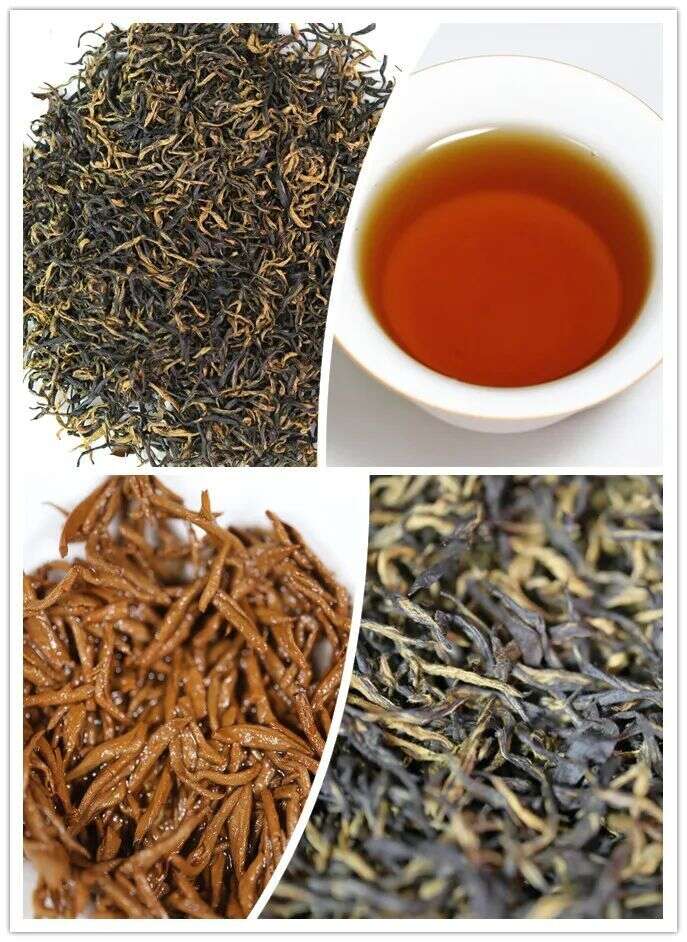茶叶品质评价|2019年全国茶叶品质评价优秀茶样展示—绿茶、红茶