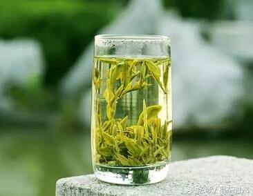品茶时光｜黄山毛峰是什么茶 它的前身是云雾茶吗