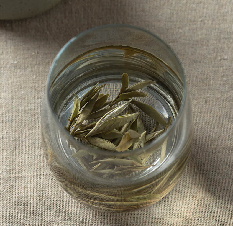 你了解白茶分类吗，白毫银针、白牡丹、贡眉与寿眉都是什么样子的？