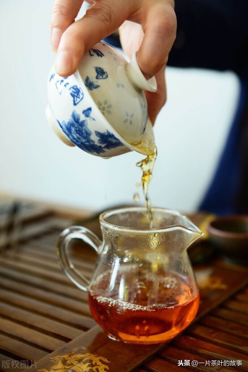老枞茶树的枞味，是怎样的体验？