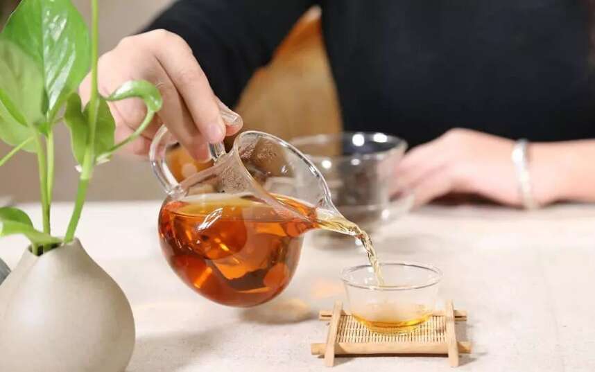怎样看普洱茶生茶、熟茶汤色？丨经验