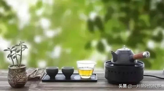 茶界的一些“奇葩茶叶”
