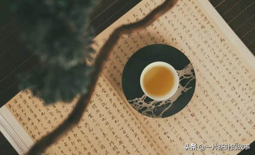茶性与人性相通。读懂了茶，也就读懂了自己...