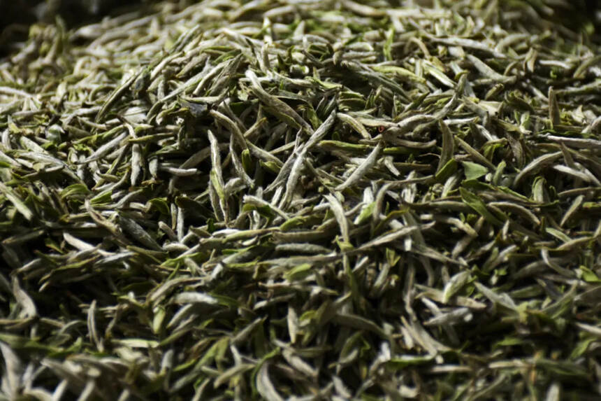 茶科普 | 白茶的加工工艺