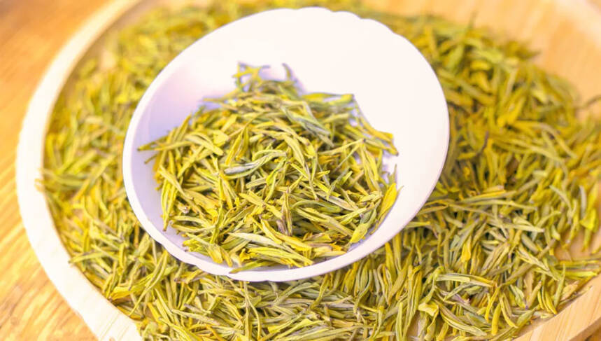 茶科普 | 你知道黄化茶和黄茶的区别吗？