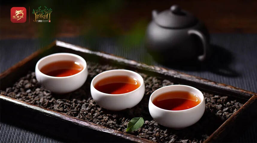 真正的古树茶看5个指标，你喝对了吗？