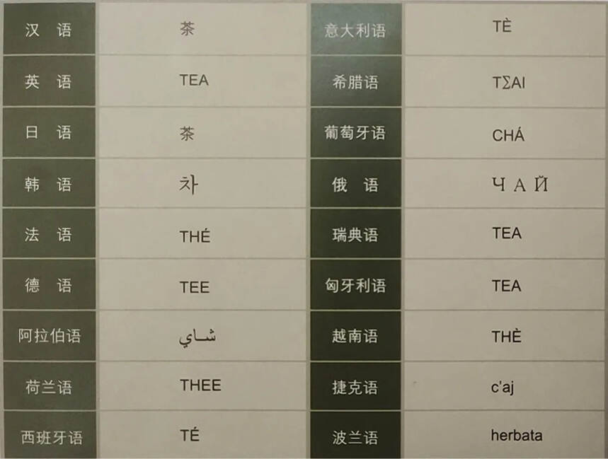 世界“茶”的中国音，不同国家怎么读“茶”？