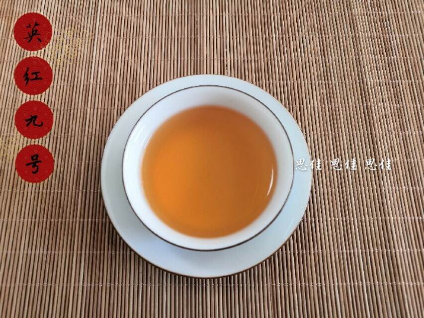 走进红茶的世界，有一种红茶叫英红九号