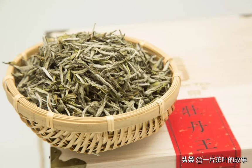关于中国名茶，你必须知道的十大美丽传说