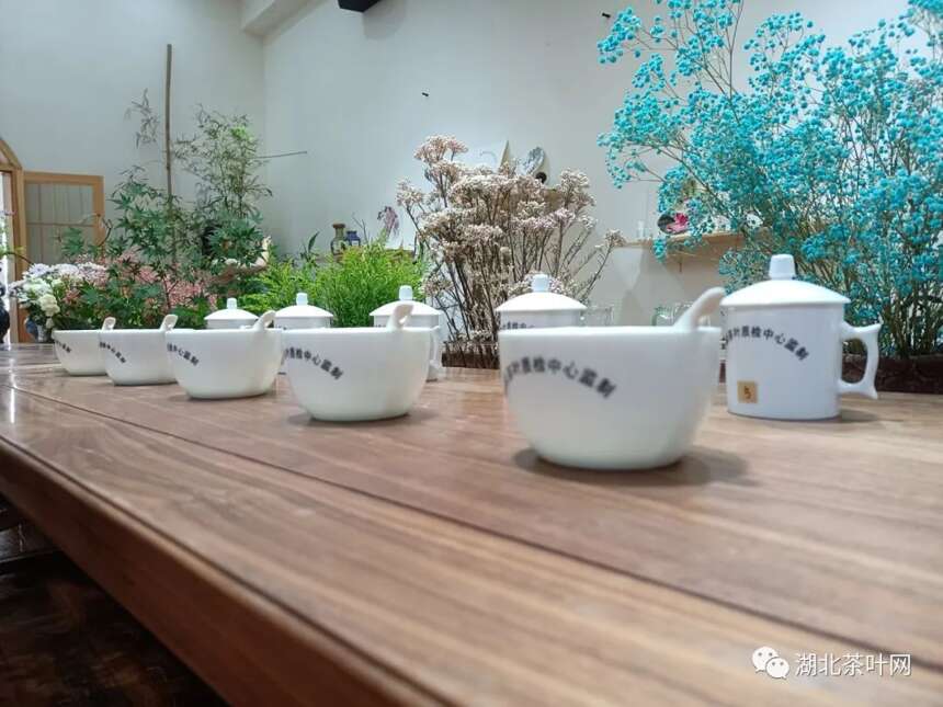 端午品茗，第一期“艺茗斗”茶会成功举办