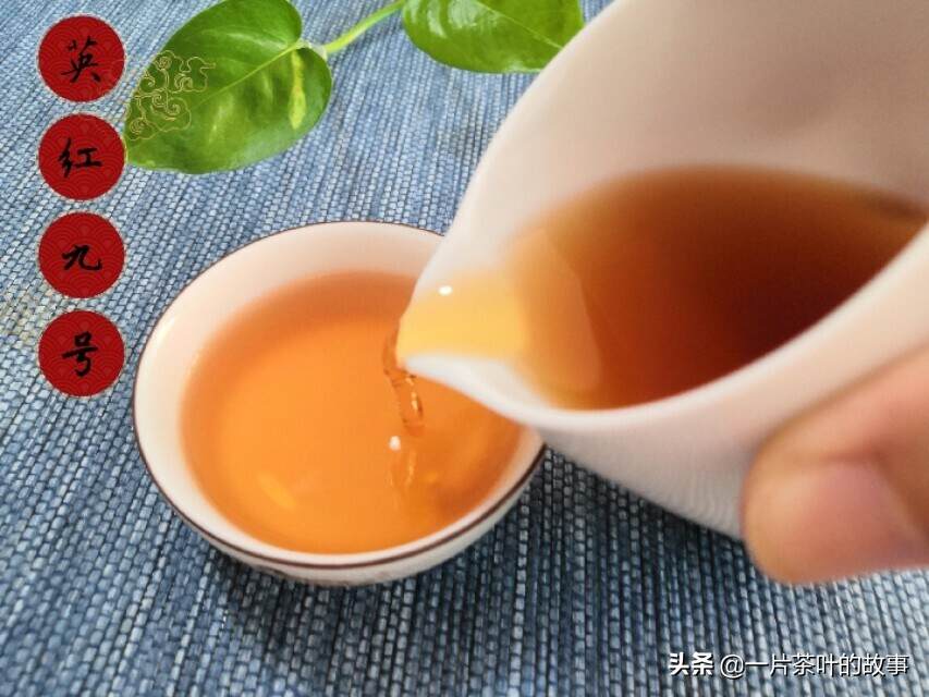红茶不是香高水甜吗？喝出酸味是怎么回事？