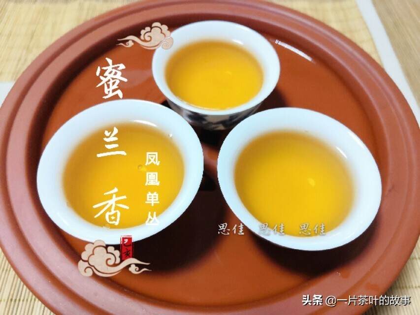 蜜兰香和鸭屎香，为凤凰单丛里知名度最高的两款单丛茶