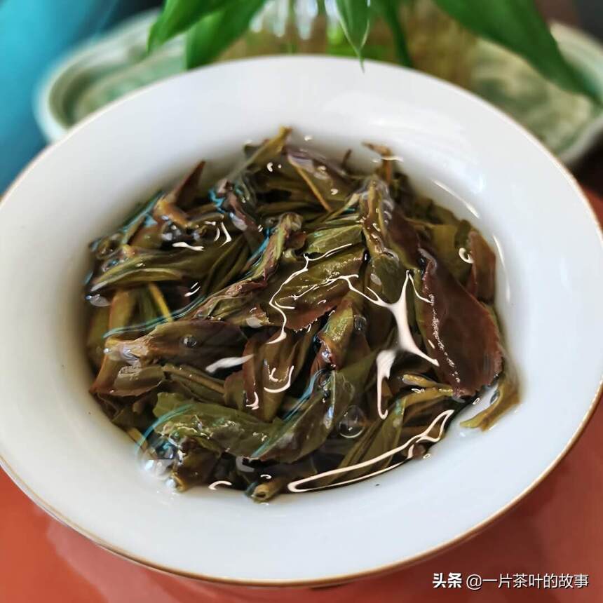 鸭屎香是目前最受欢迎的凤凰单丛茶