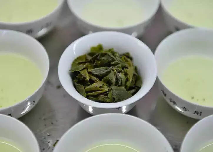 园里的茶，从翠绿到一杯茶