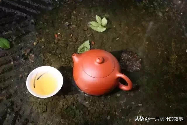 茶知识│必要实用的茶礼仪，让喝茶成为一件趣事