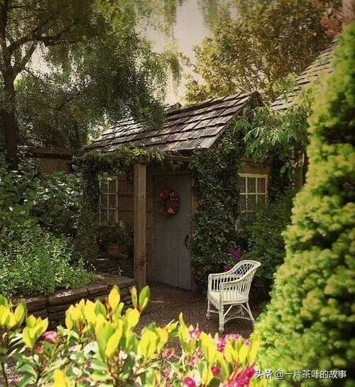 我想有个小院子，煮茶看书过日子