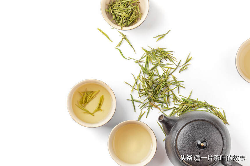 从这四方面简单教你学会鉴别白茶的品质