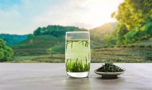 茶科普 | 绿茶香气界的名流-栗香