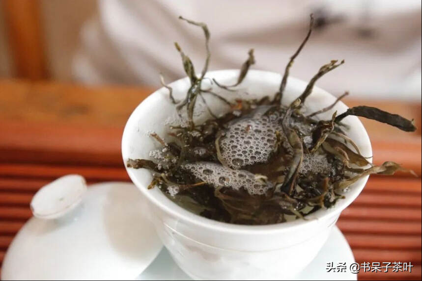 云南普洱茶的十大名寨，你了解哪些？