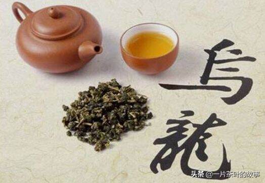 关于乌龙茶的小知识，你都了解吗？