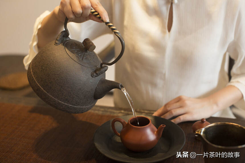 高山茶，凭什么成为茶友的挚爱？