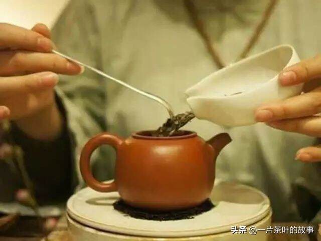 佛说：每一泡茶，都有独特的美