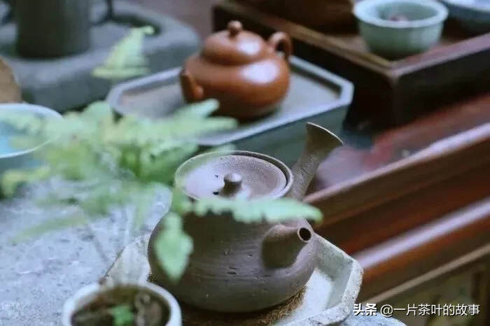 鲁迅：有好茶喝，会喝好茶，是一种清福