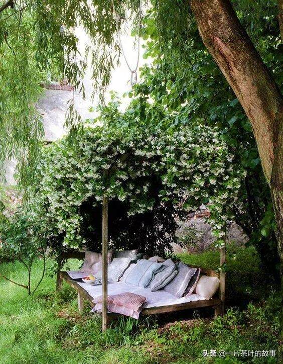 我想有个小院子，煮茶看书过日子