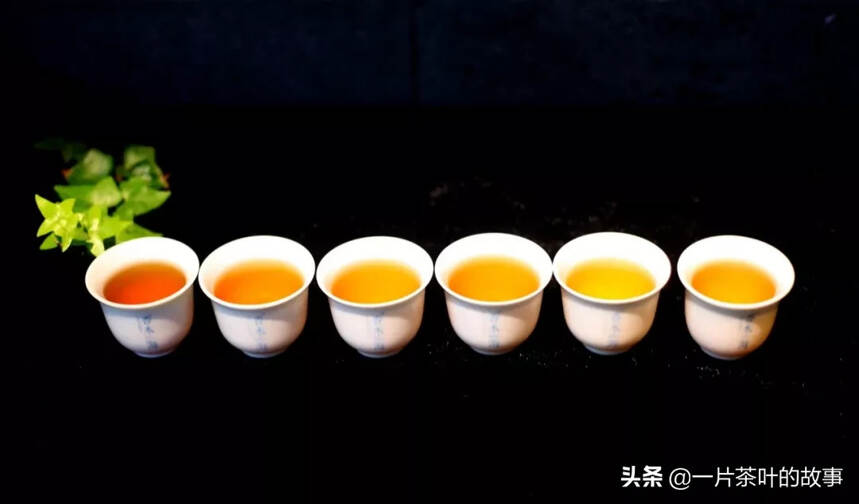 茶的颜色、滋味都是从哪来？