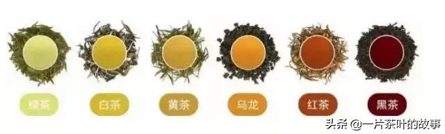 最全的中国茶知识，建议收藏
