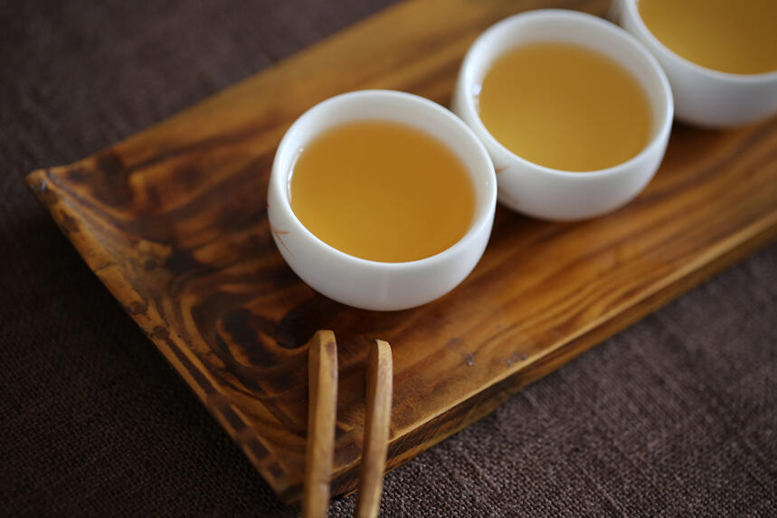 人人追捧的古树茶，到底魅力何在？