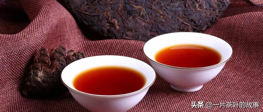茶知识｜什么是茶的厚度？如何分辨茶的厚度？