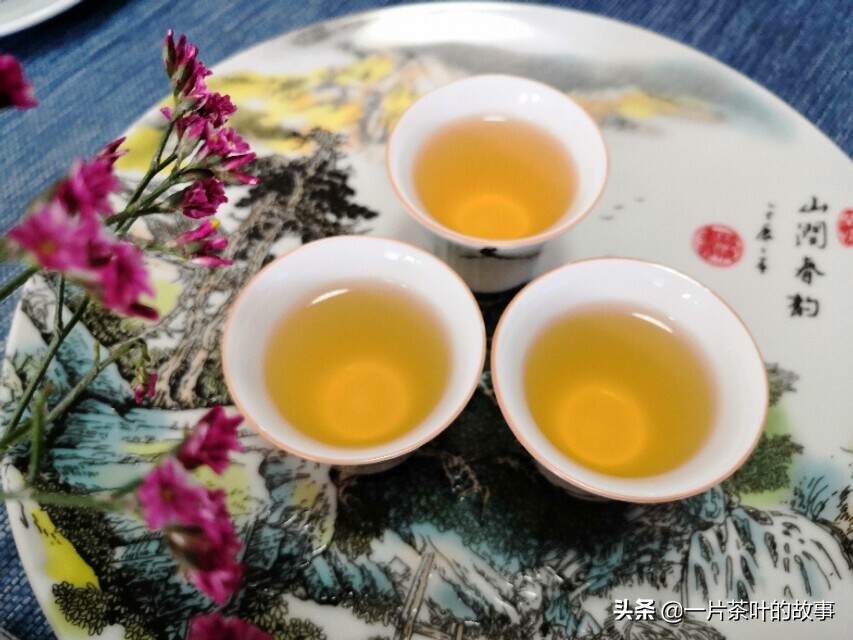 青茶｜凤凰单丛是什么茶呢？