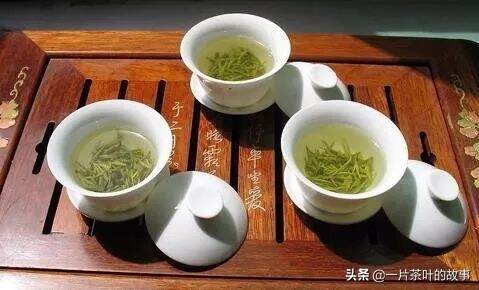 喝茶人的必修课，关于六大茶类洗茶常识(纯干货）