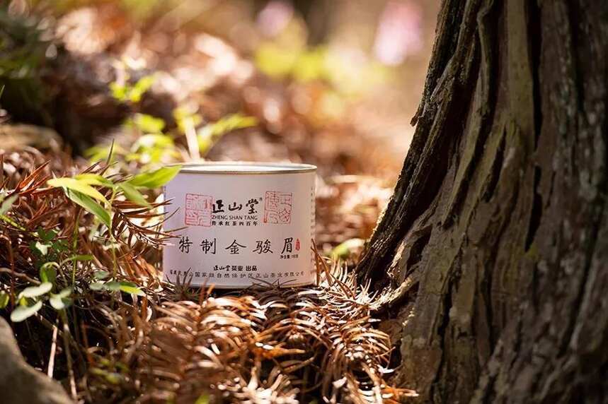 武夷桐木，红茶起源