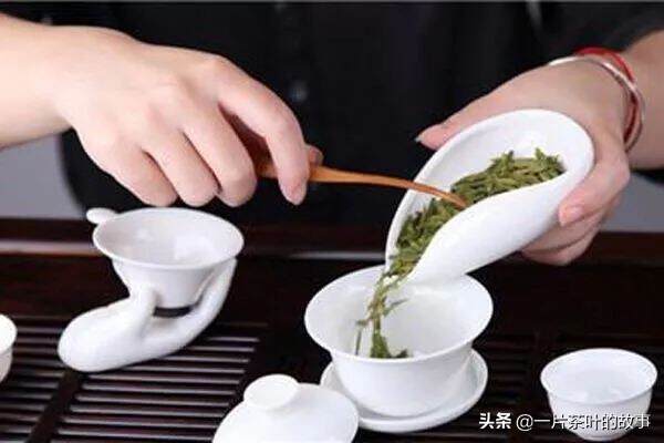 茶文化知识｜选对茶、还要喝对茶