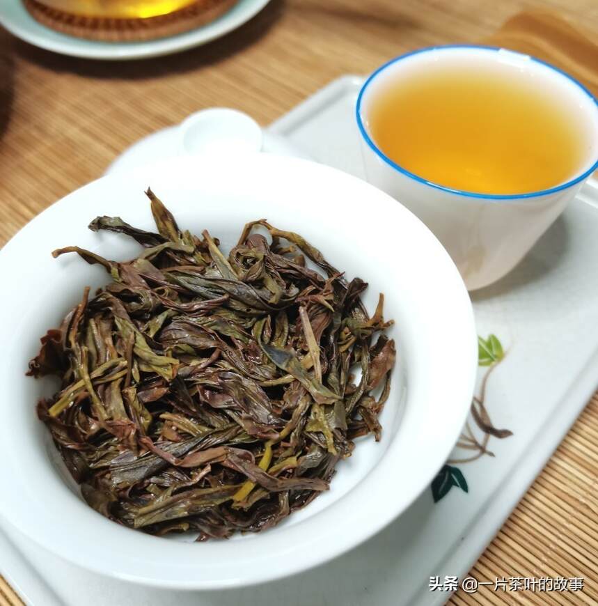 凤凰单丛 | 生茶和熟茶的区别