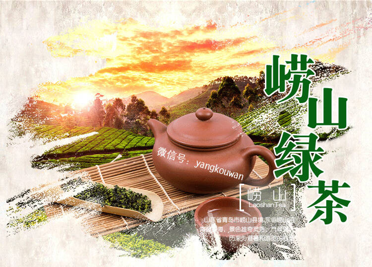 想喝真正的正宗的青岛崂山绿茶怎么办呢？