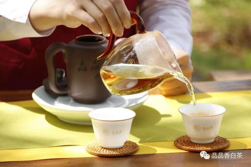 到底什么原因导致白茶的耐泡？