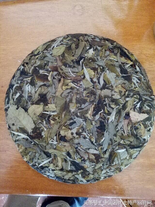 台地茶，小树的，大树茶，古树茶，单株茶，紫茶知识讲解